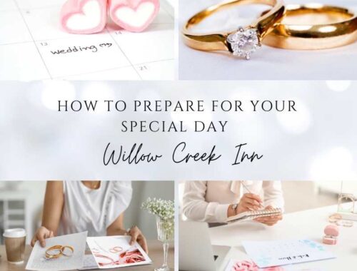 Professional Wedding Planner