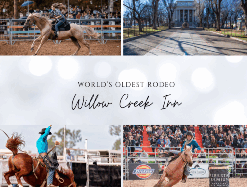 Create Your Timeless Love Story at Willow Creek Inn: Prescott’s Romance & Rodeo Legacy
